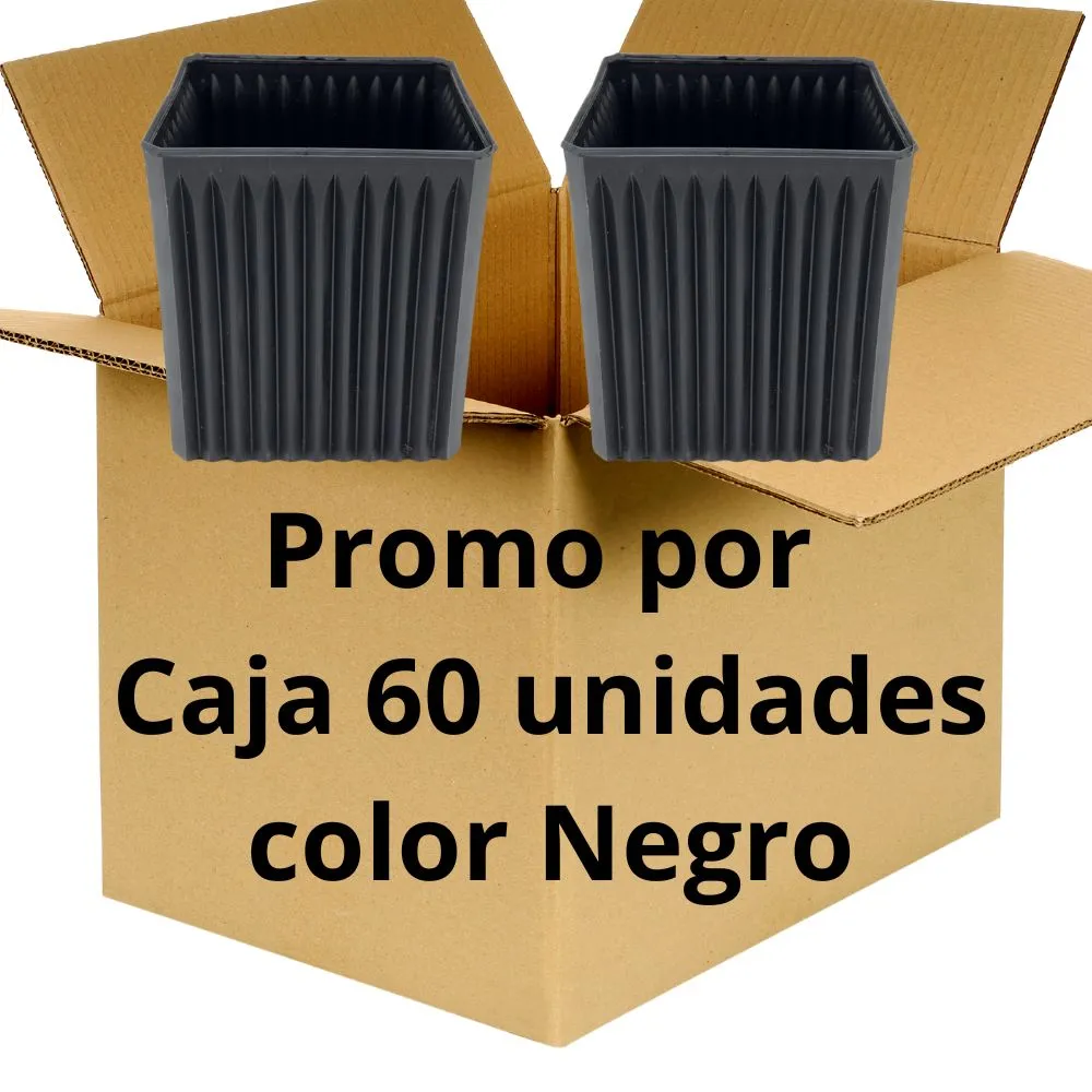 Promo por caja 60 unidades